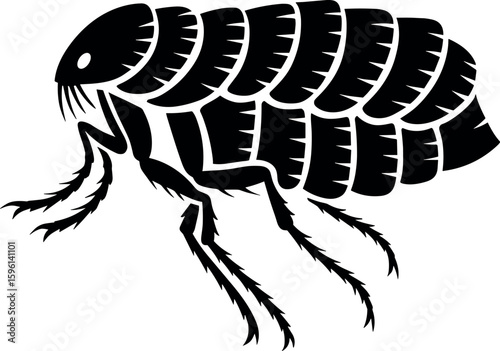Flea vector silhouette design