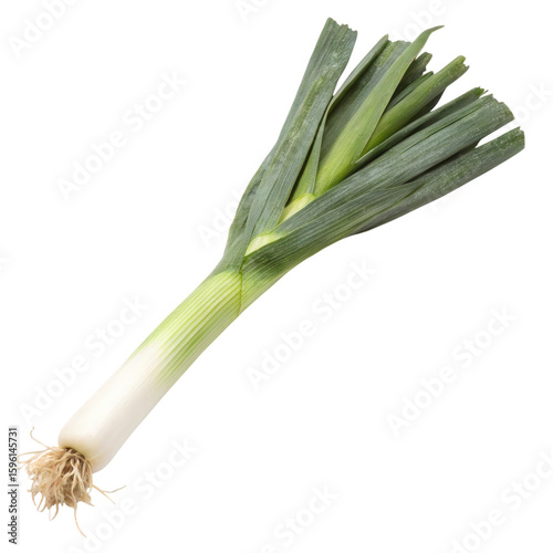 Fresh leek isolated on white background showcasing its vibrant green leaves and white bulb