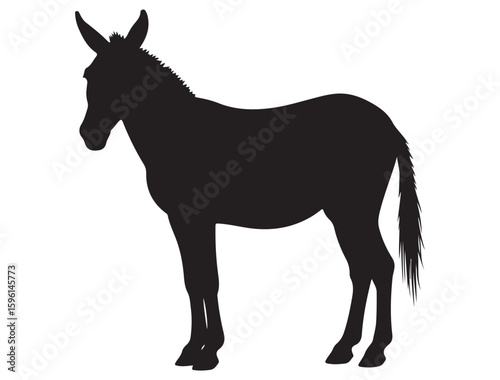 MULE SILHOUETTE