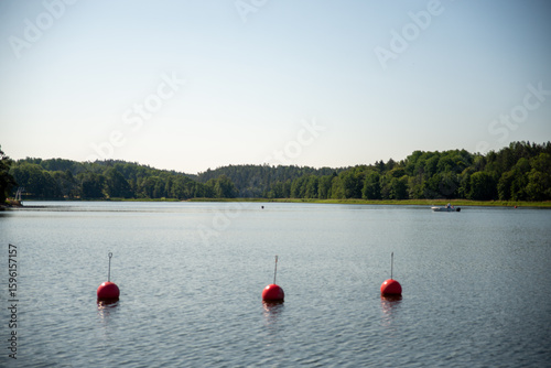 Buoys in the Bay on a Sunny Day