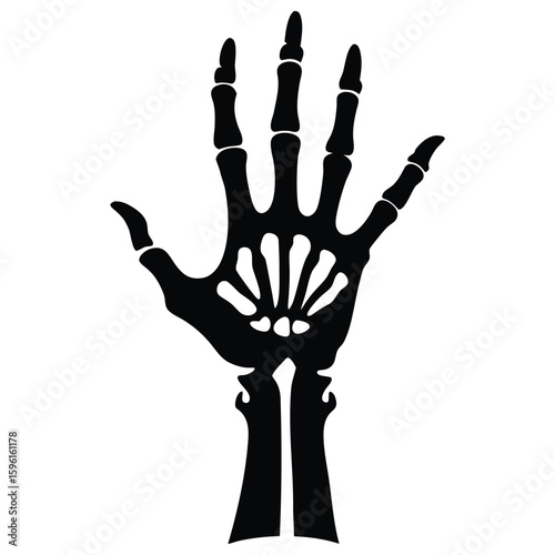 Black and White of Skeleton Hand and Part of Forearm Bones Anatomy