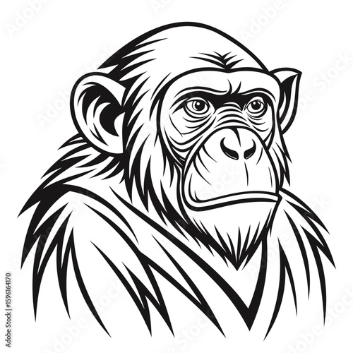 Black and white line art drawing of a chimpanzee head with textured fur primate animal