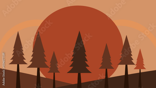 silhouette tall sparse pine trees