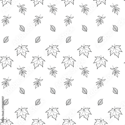 Seamless Autumn Leaf Pattern – Outline Vector Design. Minimalist seamless pattern with maple, ash, and elm leaves in black outline style. Repeating autumn design. 
