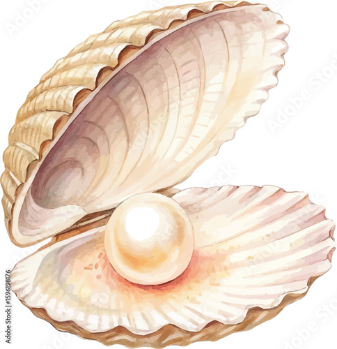 Seashells arranged on a white background with a tropical beach and ocean theme