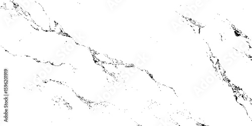 "A high-contrast, black and white abstract texture resembling distressed marble or cracked ice, with organic, flowing lines and scattered dark splotches against a pure white background. 