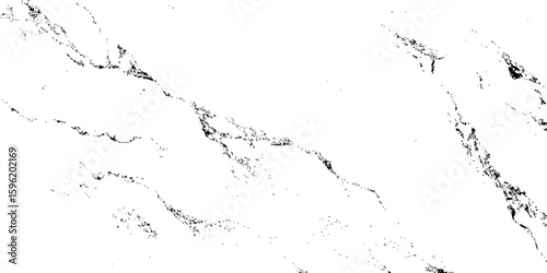 "A high-contrast, black and white abstract texture resembling distressed marble or cracked ice, with organic, flowing lines and scattered dark splotches against a pure white background. 