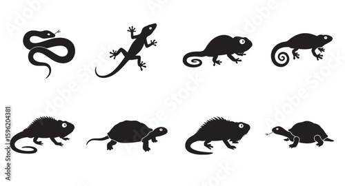 Black reptile silhouettes featuring snake lizard chameleon iguana and turtle isolated on white
