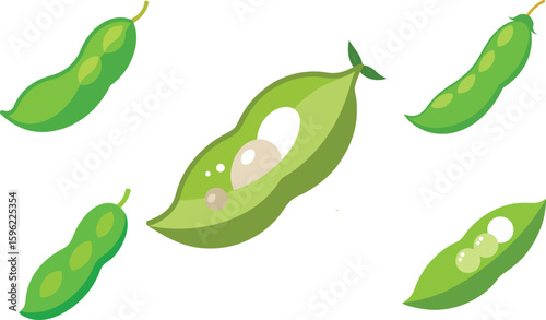 Edamame Vector Illustration Set