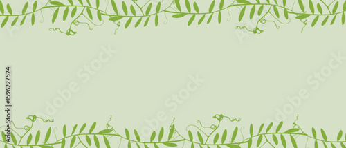 Botanical green banner with frame of climbing plants Mouse Pea, empty background for insertion.