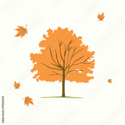 Autumn sugar maple tree illustration fall season theme vector