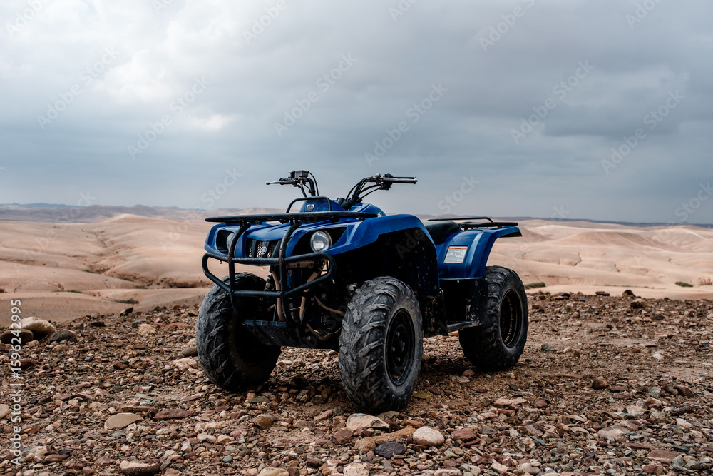 Obraz premium quad in the dessert