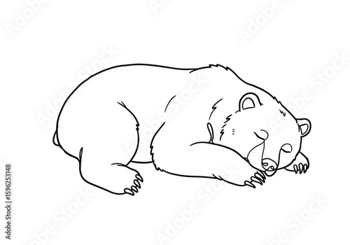 Bear sleeping drawing. It is a black and white outline image of a bear sleeping or hibernating, curled up in a peaceful state. Vector sketch line art draw.
