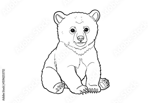 Bear cub drawing. It is a black and white outline image of a cute bear cub sitting, depicting its innocent and charming appearance. Vector sketch line art draw.
