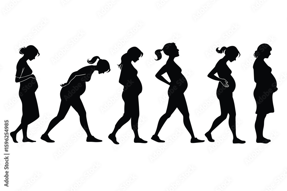 Obraz premium Visualizing the stages of pregnancy and human evolution through silhouette