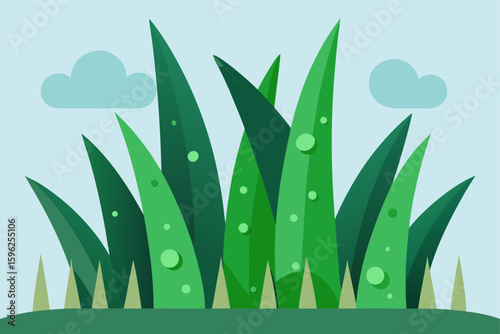 dew covered grass and plants