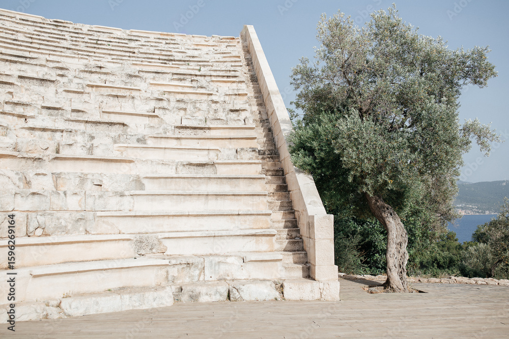 Fototapeta premium Ancient Greek Amphitheater with Olive Tree and Mediterranean Sea View in Kas, Turkey.