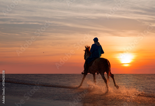 Fotografía Brown arabian horse running with a rider in the Atlantic ocean at amazing sunset