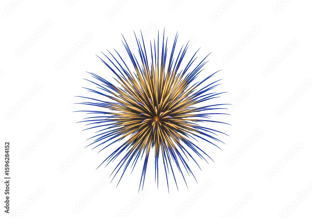 Obraz premium Vibrant fireworks explosion in night sky, illuminating festive celebration atmosphere