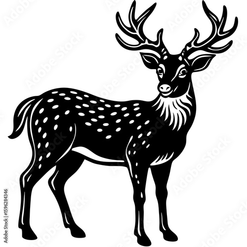 "Graceful Deer Standing in Natural Forest Habitat"