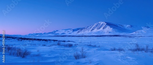 Blue twilight on snow during Arctic tundra winter polar night, ethereal darkness for astronomy apps or climate change awareness visuals.