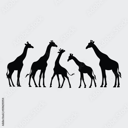 Five Black Giraffe Silhouettes on White Background