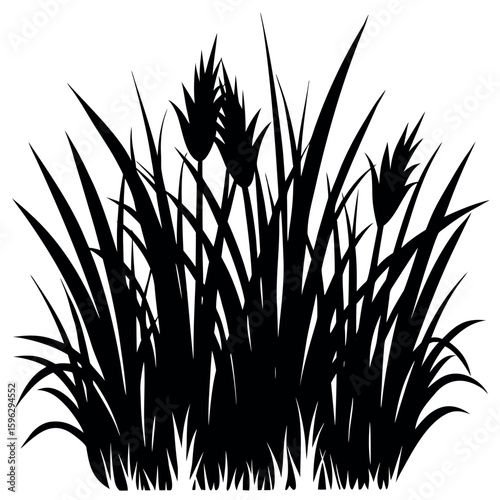 Black silhouette of tall grass and reeds