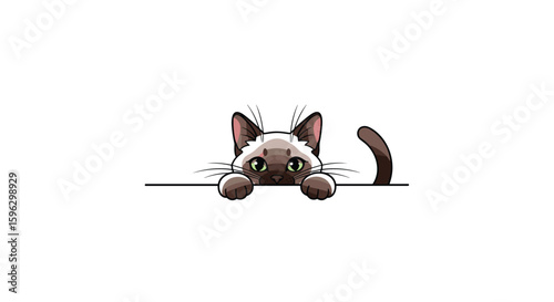 Adorable siamese kitten peeking over a surface with curious eyes and twitching ears