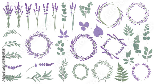 Beautiful hand drawn lavender and eucalyptus botanical elements for invitations and crafts
