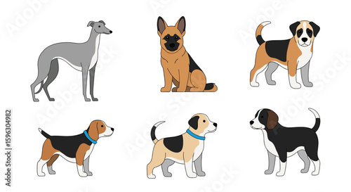 Collection of diverse dog breeds posed in different styles and colors