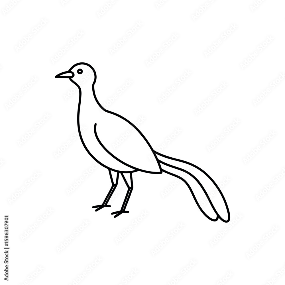 Obraz premium A elanil line art vector illustration.