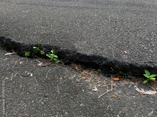 Cracked and lifted line on the concrete street, causing gap line