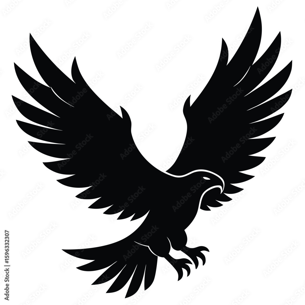 Obraz premium Black eagle soaring wings spread wide bird flying