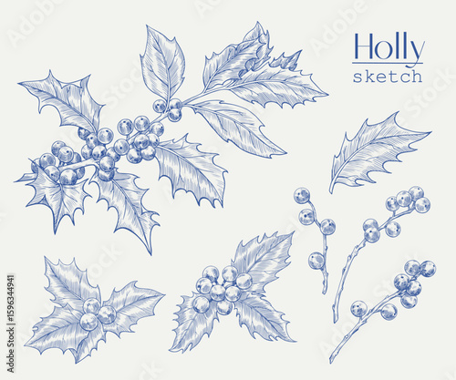 Christmas Vintage set holly branches. Hand drawn sketch. Engraved Blue beige graphic elements. Illustration for holiday decor design, greeting card, new year decoration. Monochrome