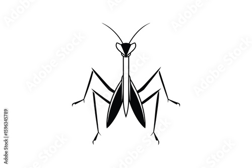 Striking Praying Mantis Illustration with Sharp Lines and Bold Contrast Depicted in a Silhouette Style on a White Background silhouette bold