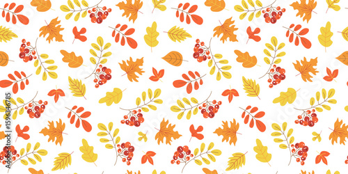 Pattern. Autumn leaves, berries. Fall, harvest. Hand drawn. Oak leaf, rowan branch. Botanical nature illustration. Leaf fall. Seamless background, wallpaper decor.