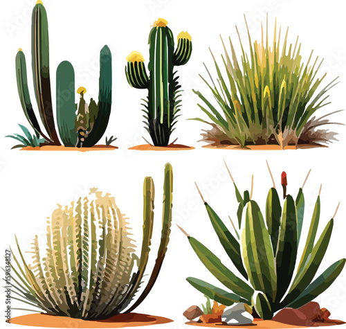 Collection of Various Cactus and Desert Plants Isolated on Transparent Background