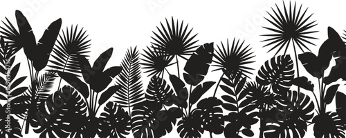 Tropical jungle leaves silhouette, botanical foliage black and white vector illustration, exotic plant border, nature background design, decorative template