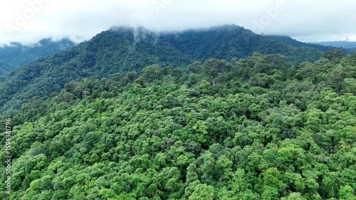 Aerial drone shot over primary Jungle tropical rain forest in Nan, Thailand. Aerial view, moving over a rainforest tree canopy in a slow pace beautiful green nature background of a tropical forest.	