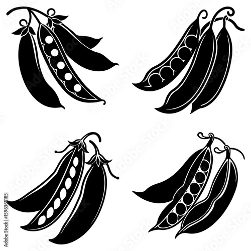 Illustration of four pea pods with varying degrees of openness in black and white design style