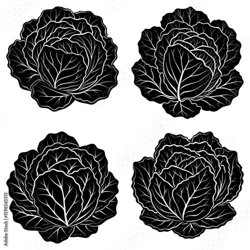 Four black and white cabbage heads with detailed leaf patterns arranged in a square formation on white