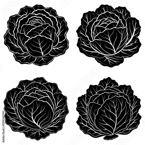 Four black and white cabbage heads with detailed leaf veins in a simple vector illustration style
