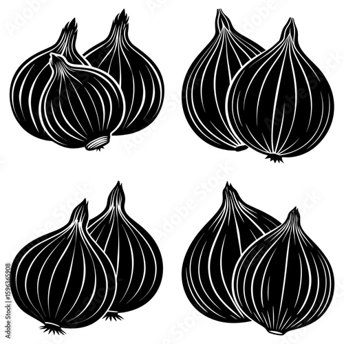 Illustration of four pairs of onions with detailed black and white line work on a white background