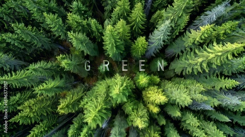 green fern background