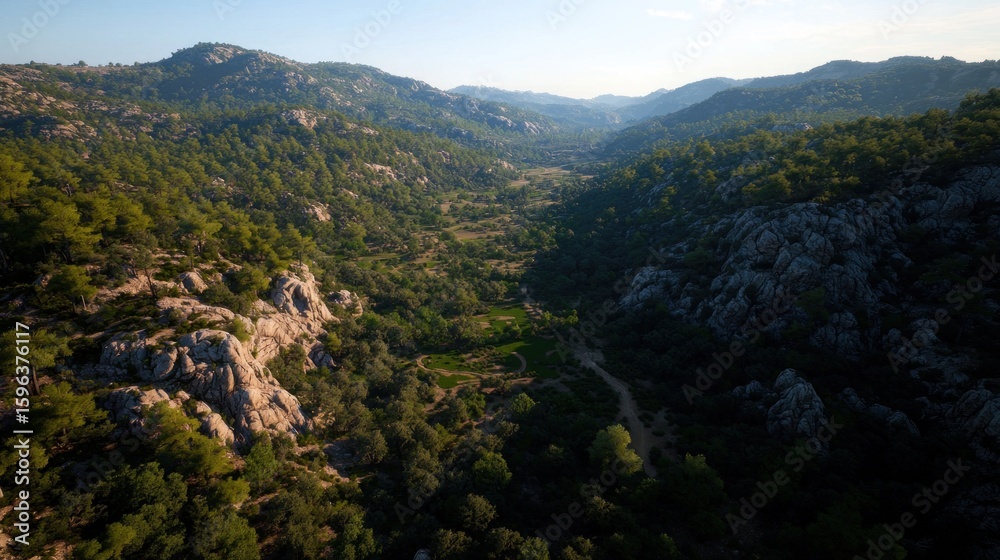 Naklejka premium Mountain Valley Landscape View from Above