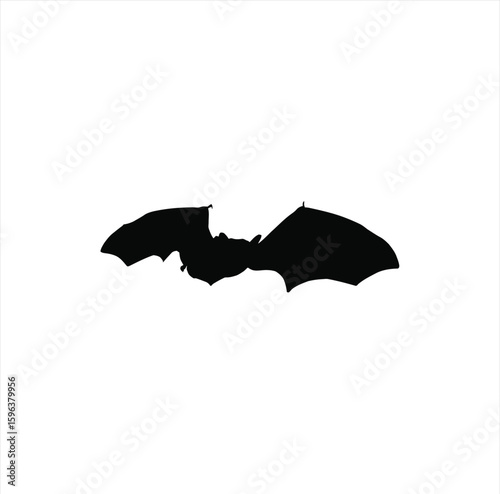 Bat Animal Silhouette – Flying Mammal Graphic on Transparent Background for Halloween and Nature Themes
