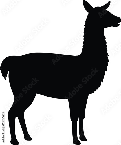 stylish llama profile graphic for nature lovers