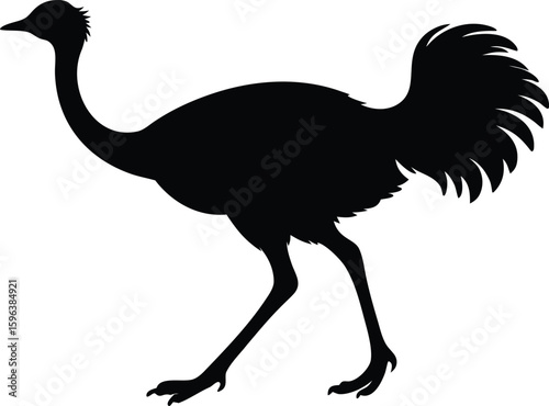 modern ostrich bird running creative vector design ideas