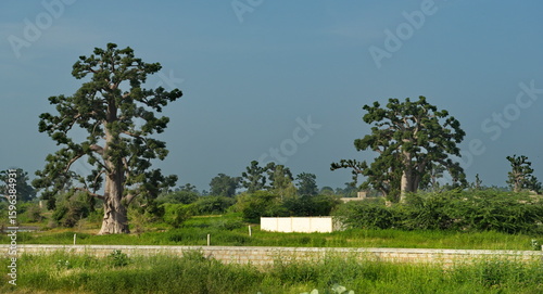 Fotografia West Africa