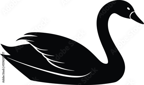 best swan swimming graphic vector for nature projects